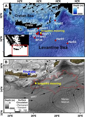 Atmospheric and Oceanographic Forcing Impact Particle Flux Composition and Carbon Sequestration in the Eastern Mediterranean Sea: A Three-Year Time-Series Study in the Deep Ierapetra Basin
